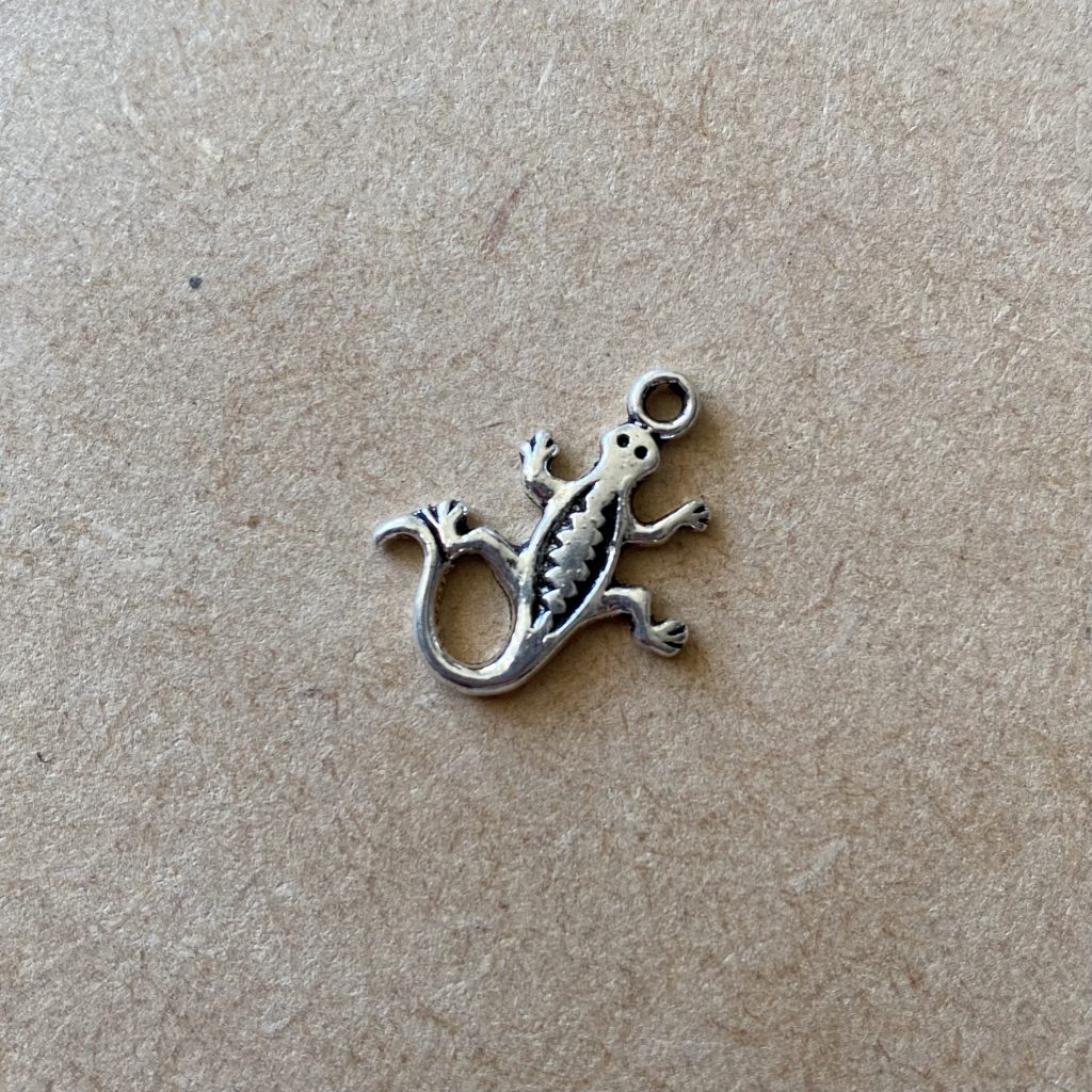 Bibliothèque - Nos Apprêts - Salamandre argentée - les pierres de tao - bijoux - fait main - lithothérapie - pierres fines - pierres naturelles - boutique - france