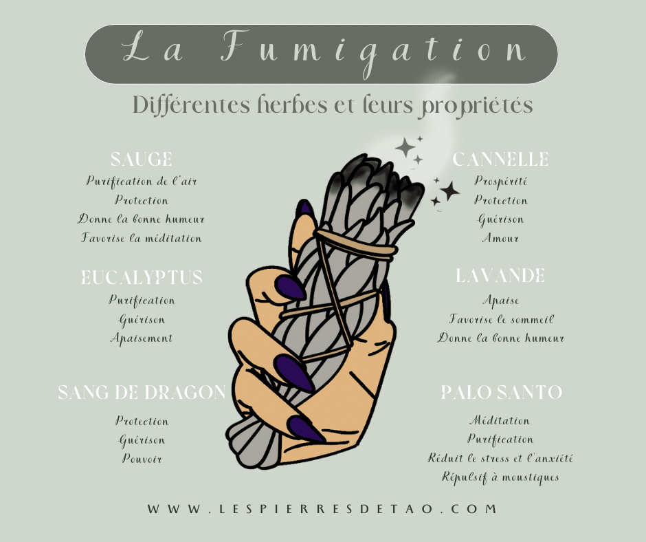 Purification Fumigation sauge blanche nettoyage rituel magie