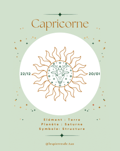 Signes astrologiques - Capricorne