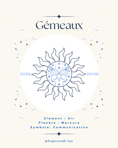 Signes astrologiques - G&eacute;meaux